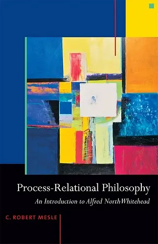 Process-Relational Philosophy cover
