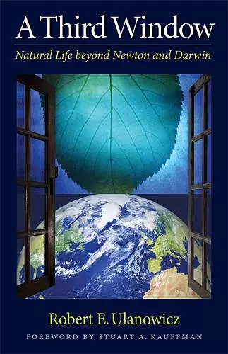 A Third Window cover