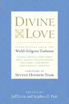 Divine Love cover