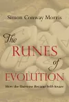 The Runes of Evolution cover