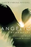 Angelic Encounters cover