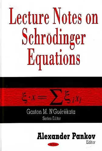 Lecture Notes on Schrödinger Equations cover