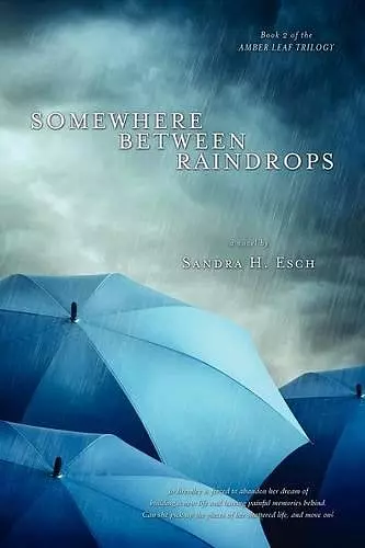 Somewhere Between Raindrops cover