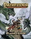 Pathfinder Roleplaying Game: Advanced Player’s Guide cover