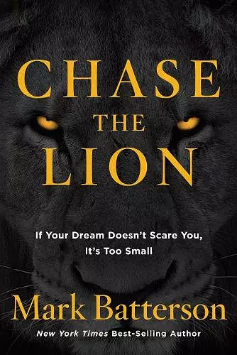 Chase the Lion cover