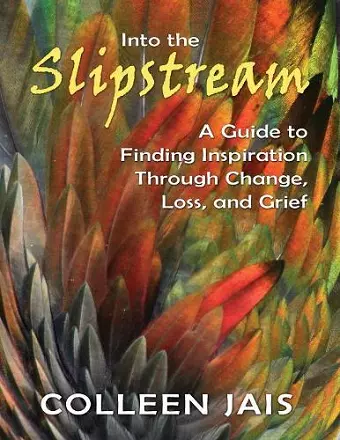 Into the Slipstream cover