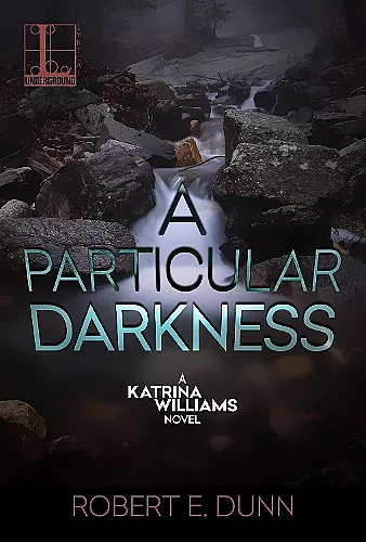 A Particular Darkness cover