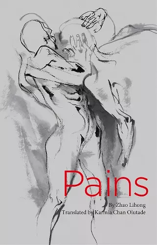 Pains (Chinese Poems) cover