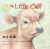 The Little Calf cover