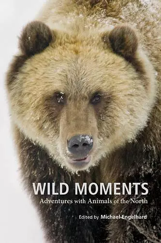 Wild Moments cover