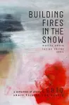 Building Fires in the Snow cover