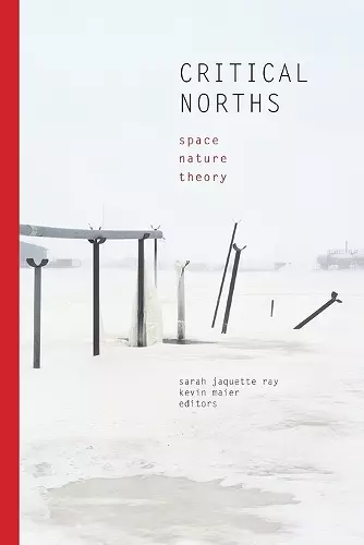 Critical Norths cover