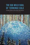The Big Wild Soul of Terrence Cole cover