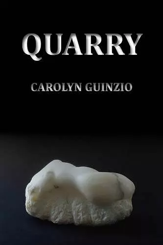 Quarry cover