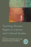 Teaching Human Rights in Literary and Cultural Studies cover