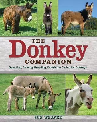 Donkey Companion cover