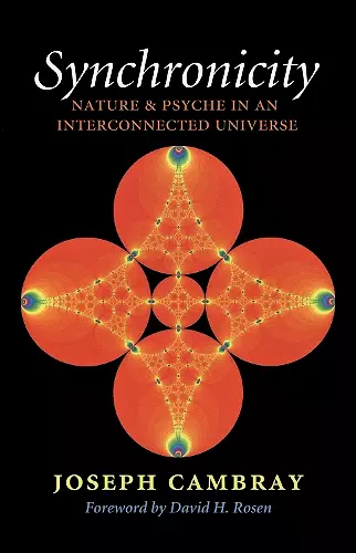 Synchronicity: Nature and Psyche in an Interconnected Universe cover