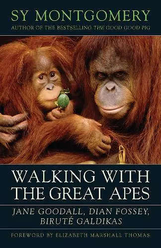 Walking with the Great Apes cover