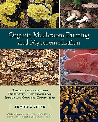 Organic Mushroom Farming and Mycoremediation cover