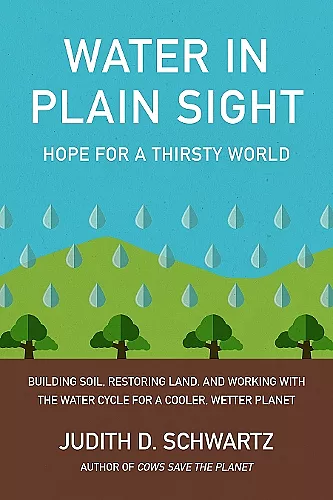 Water in Plain Sight cover