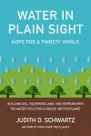Water in Plain Sight cover