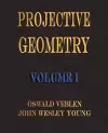 Projective Geometry - Volume I cover