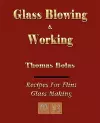 Glassblowing and Working - Illustrated cover