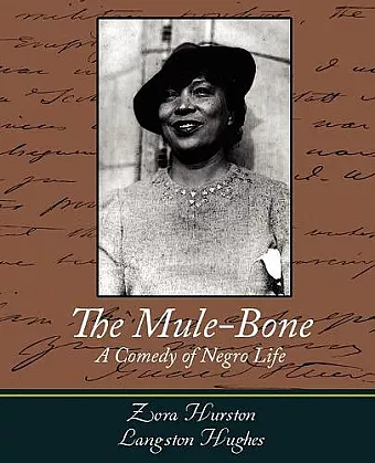 The Mule-Bone cover