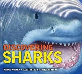 Discovering Sharks cover