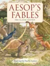 Aesop's Fables Hardcover cover