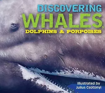 Discovering Whales, Dolphins and   Porpoises cover