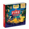 Pokémon Primers: Fire Types Book cover