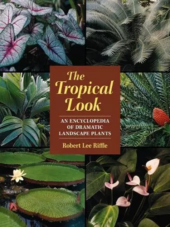 The Tropical Look cover