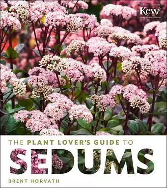 Plant Lovers Sedums Hc cover