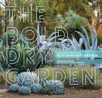 The Bold Dry Garden cover