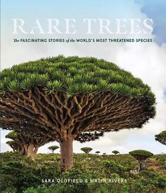 Rare Trees cover