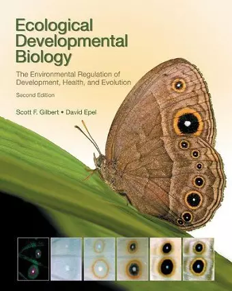 Ecological Developmental Biology cover
