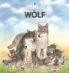 The Wolf cover