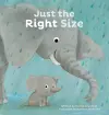 Just the Right Size cover