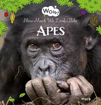 Wow! Apes. How Much We Look Alike cover