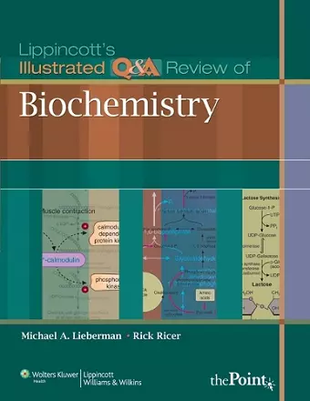 Lippincott's Illustrated Q&A Review of Biochemistry cover