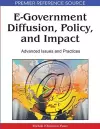 E-Government Diffusion, Policy, and Impact cover