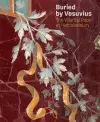 Buried by Vesuvius - The Villa dei Papiri at Herculaneum cover