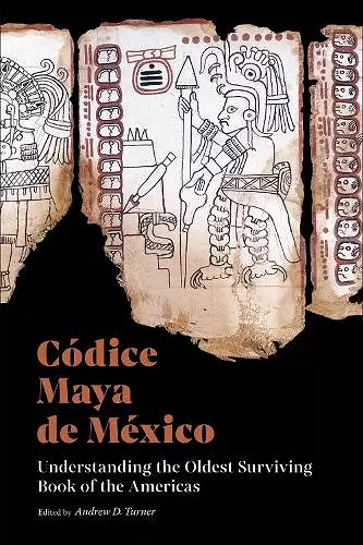 Codice Maya de Mexico cover