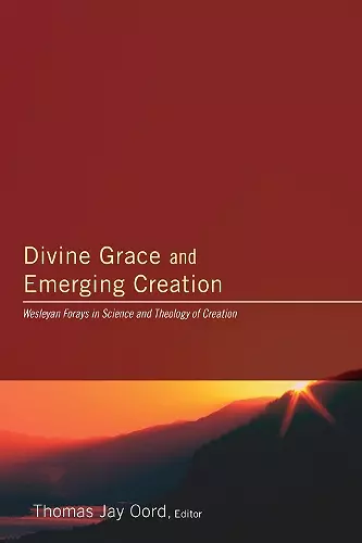 Divine Grace and Emerging Creation cover