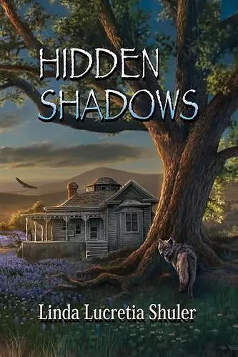 Hidden Shadows cover