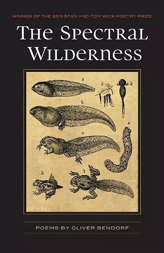The Spectral Wilderness cover