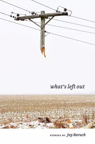 What's Left Out cover