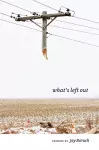 What's Left Out cover