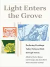 Light Enters the Grove cover